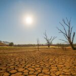 Novo apoio à seca anunciado enquanto o BOM prevê um verão mais quente que o normal pela frente