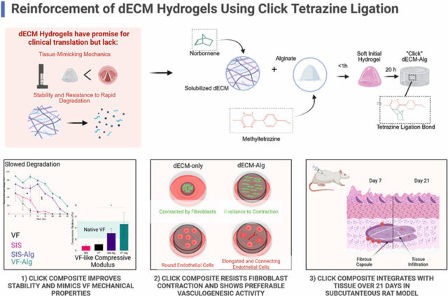 Novo gel injetável mostra-se promissor no tratamento da perda de voz