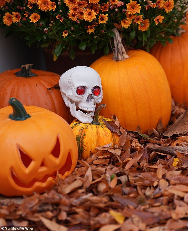 O Halloween chega a Hollywood enquanto Heidi Klum, Paris Hilton, O Halloween chega a Hollywood enquanto Heidi Klum, Paris Hilton, Lady Gaga e Mariah Carey apimentam as coisas