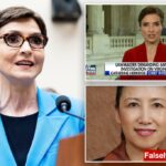 O Tribunal de Apelações dos EUA rejeita a tentativa de repórter de notícias ex-Fox, Catherine Herridge, de proteger fontes confidenciais