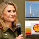 O chefe da Shell US diz que a interrupção de projetos eólicos por Trump prejudica o investimento: relatório