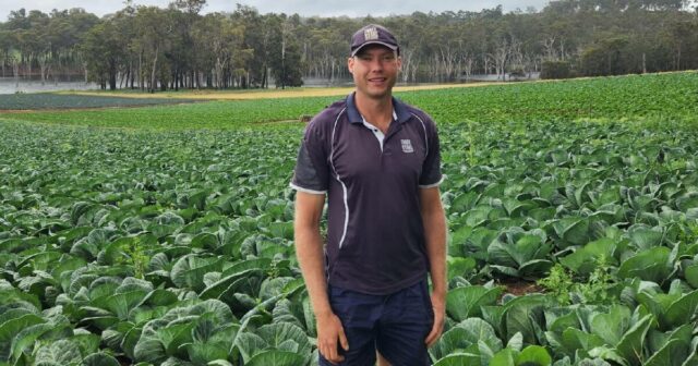 O futuro da agricultura não se resume apenas aos rendimentos dos agricultores do Sudoeste

