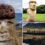 O mistério da Ilha de Páscoa pode ser resolvido quando os cientistas sugerem que quase 1.000 estátuas de 80 toneladas ‘caminharam’ 16 quilômetros até o local antigo