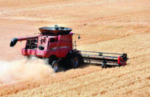 O número de produtores de grãos cai à medida que o ritmo de agregação de terras continua O número de produtores de grãos cai à medida que o ritmo de agregação de terras continua