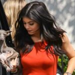 Kylie Jenner apresenta novo cachorrinho: um guia para os cães Kardashian-Jenners