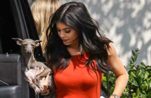 O primeiro canino Norman morre de Kylie Jenner: ‘Na verdade, nunca gostei muito de nada’ Kylie Jenner apresenta novo cachorrinho: um guia para os cães Kardashian-Jenners