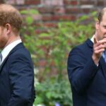 O príncipe Harry ainda tem tensão com William e Kate há distância emocional