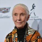 O que Jane Goodall disse sobre Donald Trump