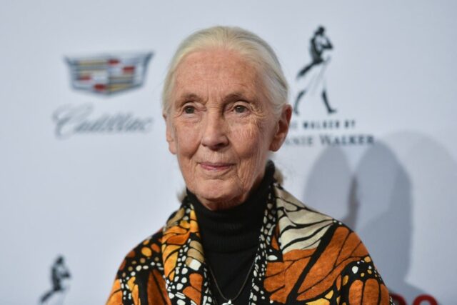 O que Jane Goodall disse sobre Donald Trump 

