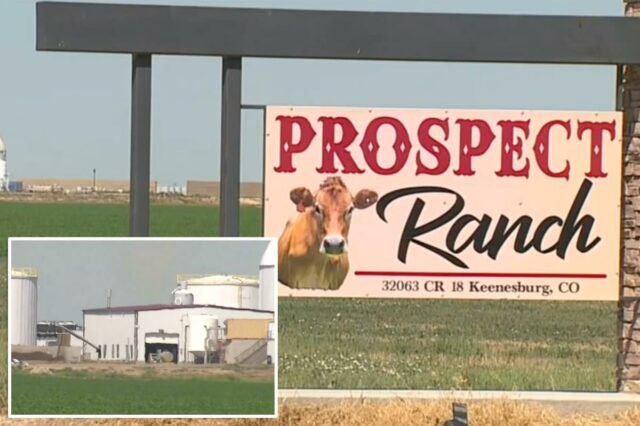 O relatório do legista sobre 6 mortes em laticínios do Assine para