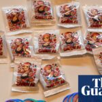 'Obediente, produzindo e encantado em aderir a': o aumento desconfortável dos namorados da IA