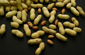 Orientação para alimentar crianças com amendoim precocemente e comumente ajudou 60.000 crianças a prevenir reações alérgicas, descobriu pesquisa Yahoo news home