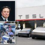 Os críticos do pagamento de US$ 1 trilhão para Elon Musk são ‘terroristas corporativos’, diz o CEO da Tesla