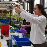 Os efeitos da horticultura terapêutica no bem-estar dos alunos e na resiliência acadêmica