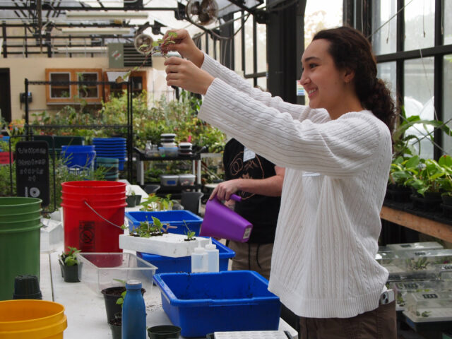 Os efeitos da horticultura terapêutica no bem-estar dos alunos e na resiliência acadêmica