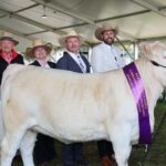 Os elogios de Boyup Brook Stud continuam a crescer após a exibição real