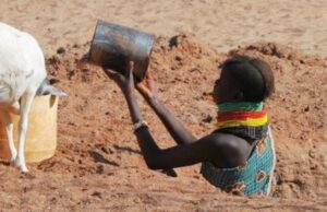 Os indivíduos da Turkana estão progredindo a prosperar em um regime de dieta que certamente tornaria os outros doenças Duas mulheres turkana carregando água através da paisagem árida