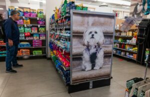 Os malucos dos direitos dos animais estão VENCENDO silenciosamente sua guerra maluca contra as lojas de animais Os malucos dos direitos dos animais estão VENCENDO silenciosamente sua guerra maluca contra as lojas de animais