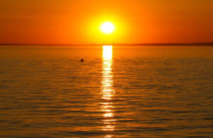 Os pesquisadores fornecem aconselhamento após observar o padrão desagradável no mar: ‘utilizado para ser uma sensação incomum’ Yahoo news home