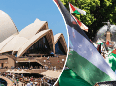 Os policiais lançam ação legal para opor -se a protesto da Opera House Comissário Assistente de Polícia de NSW Peter McKenna