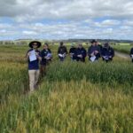 Os produtores de grãos WA receberam uma recepção quente no dia anual de campo de geada
