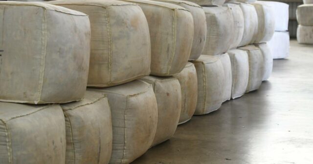Os produtores não estão em pânico – retendo a venda no mercado de lã em queda


