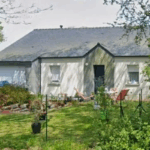 (Google)