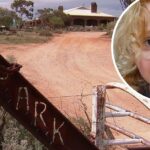 Desaparecido Gus, de quatro anos