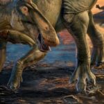 Ilustração colorida de um dinossauro com bico de pato, patas dianteiras com cascos, uma aba vermelha na cabeça e uma crista listrada laranja ao longo das costas, caminhando pela lama
