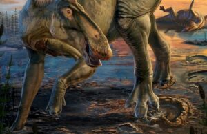 Pesquisadores encontram ‘mamães’ de dinossauros com unguis como um corcel Ilustração colorida de um dinossauro com bico de pato, patas dianteiras com cascos, uma aba vermelha na cabeça e uma crista listrada laranja ao longo das costas, caminhando pela lama