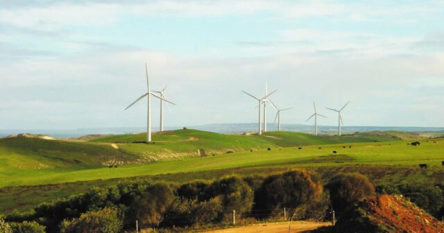Plano da indústria para evitar que os custos de limpeza renovável em fim de vida caiam sobre os agricultores

