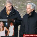 Polícia do Reino Unido investiga alegações de que o príncipe Andrew pediu ao guarda-costas informações sobre Virginia Giuffre
