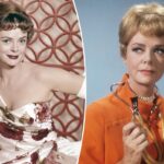 Por dentro do surpreendente lado selvagem de June Lockhart - incluindo seu amor pelo rock and roll