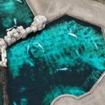 Vista de cima das águas de Marineland onde estão as belugas