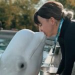 'Precisamos tirá-los': Instrutor Beluga dispensado por Marineland fala