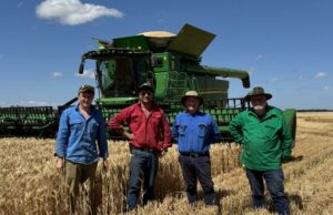 Primeiras receitas recebidas pela CBH à medida que os produtores do sul dão um salto para o norte Primeiras receitas recebidas pela CBH à medida que os produtores do sul dão um salto para o norte