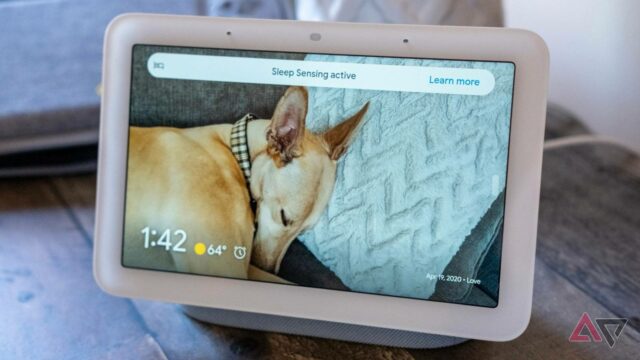 Uma linha de exibições e alto -falantes do Amazon Echo