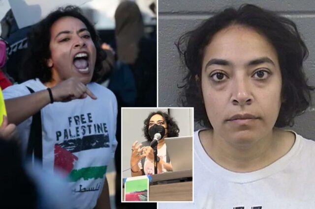 Professor de extrema esquerda Eman Abdelhadi acusado de crimes violentos após os distúrbios das instalações de Ice Chicago

