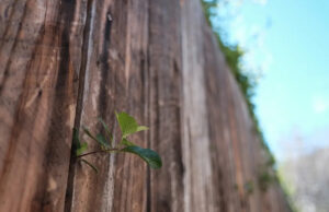 Proprietário do imóvel indignado após voltar das férias com o ato impressionante do vizinho: ‘Chame a polícia’ Yahoo news home