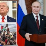 Putin repreende vencedores do Nobel que “nada fizeram pela paz” – elogia Trump por intermediar o acordo de cessar-fogo em Gaza