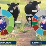 Quanta carne bovina os EUA estão importando; por que ninguém sabe quando isso vai parar