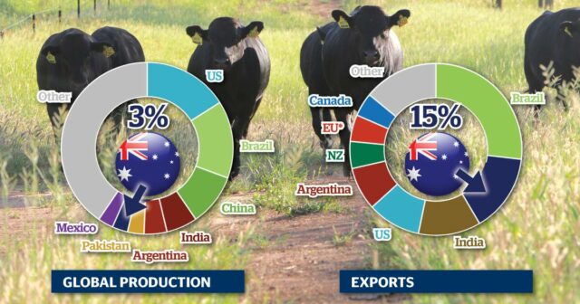 Quanta carne bovina os EUA estão importando; por que ninguém sabe quando isso vai parar

