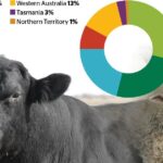 Queensland tem mais gado, mas há mais dinheiro em carne bovina no sul