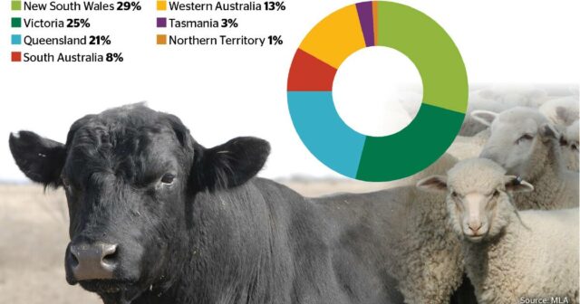 Queensland tem mais gado, mas há mais dinheiro em carne bovina no sul

