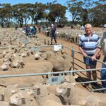 Quintal inteiro comprado por compradores locais e interestaduais na Wheatbelt Sale