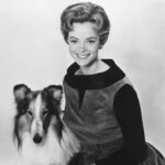 RIP June Lockhart: 'Lassie' e 'Lost in Space' Star Dead aos 100