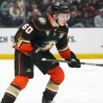 Recurso: Ducks Ink Lacombe para Oferta de Recorde de Equipe