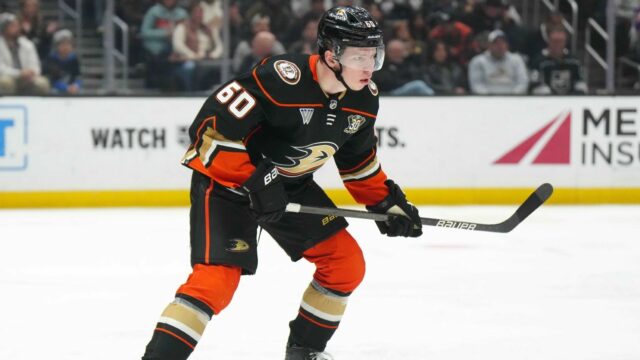Recurso: Ducks Ink Lacombe para Oferta de Recorde de Equipe 

