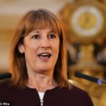 A Chanceler (foto) não conseguiu obter a permissão correta para alugá-la em casa em Dulwich, sudeste de Londres, apesar de ser sua responsabilidade