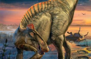 Restos de ‘múmias’ de dinossauros descobertas 100 anos antes no Wyoming ainda têm pele e unguis, afirmam cientistas Os esqueletos dos dinossauros com bico de pato, Edmontosaurus Annectens – que viveu há mais de 66 milhões de anos no final do período Cretáceo – foram descobertos em 1908 em uma área de ravina no centro-leste do Wyoming (Gary Todd/Museu de História Natural)